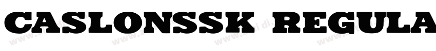 CaslonSSK Regular字体转换